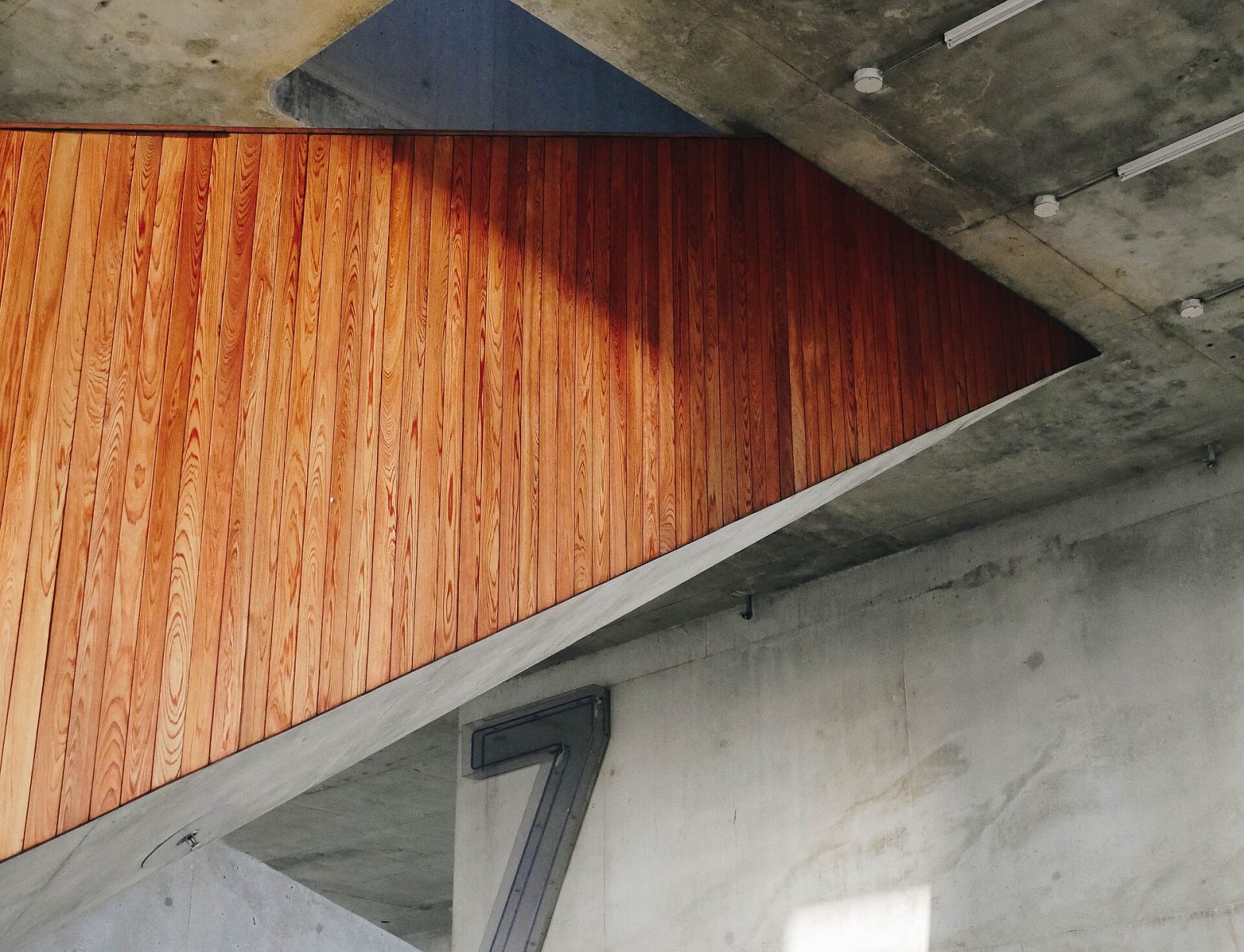 Forest Retreat — interior 1